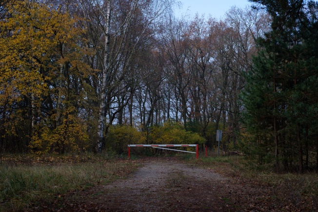 Somewhere in Brandenburg, Nov 2021